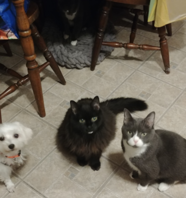 From the Bowl That Never Empties to Mealtime With Meaning