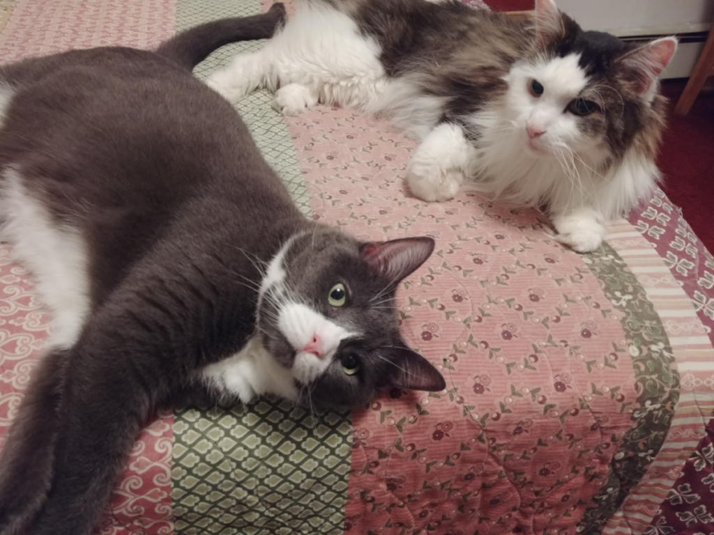 Belle with Rascal on Bed