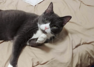 Belle Bathing on the Bed