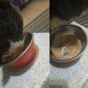 BellenPaws.com - Belle with HydraCare