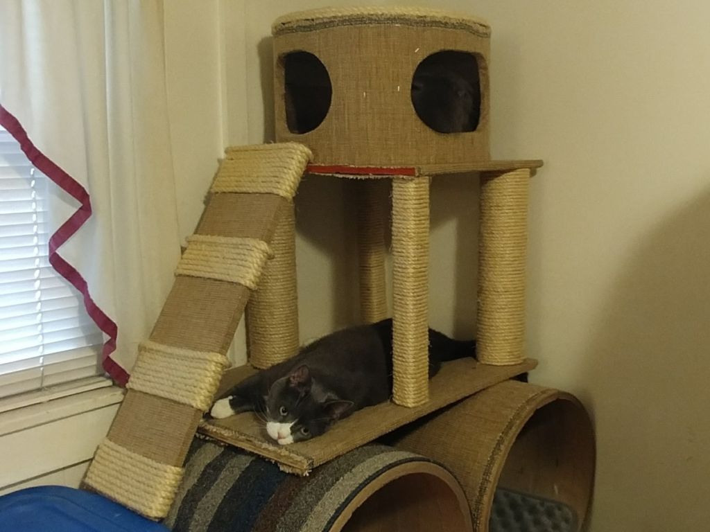 Belle in her Tree