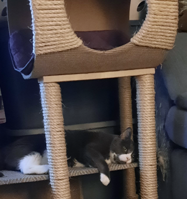 How Post Shape Affects Rope Length Calculations