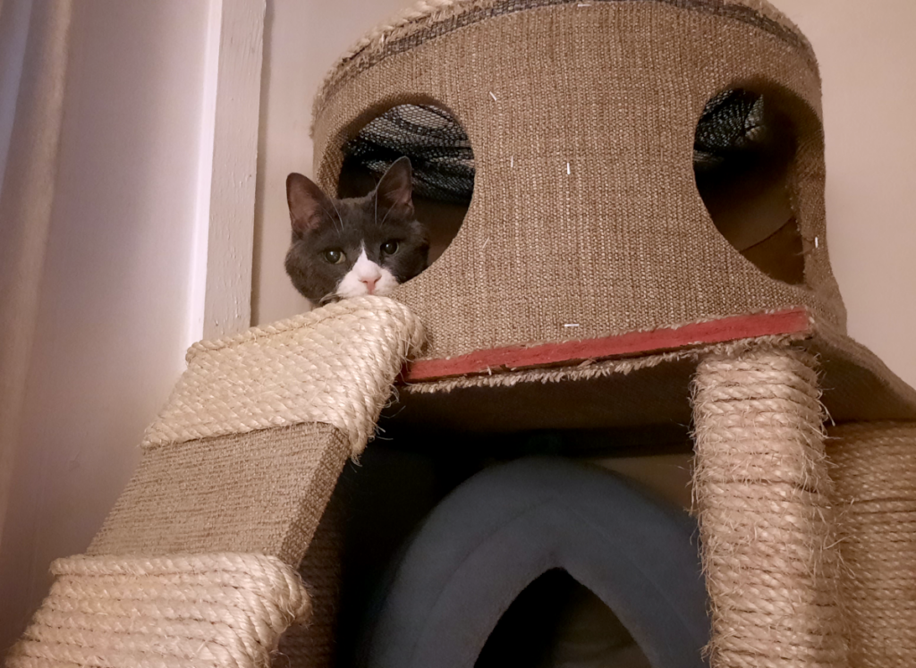 Belle in Tower