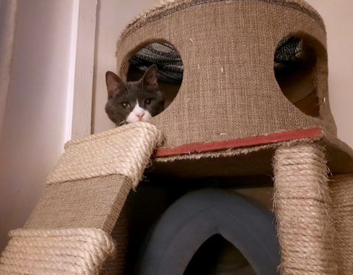 Belle in Tower