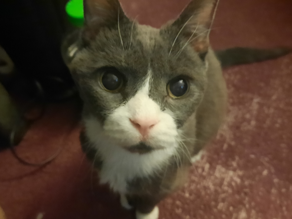 Belle Starting to Lose her Eyesite