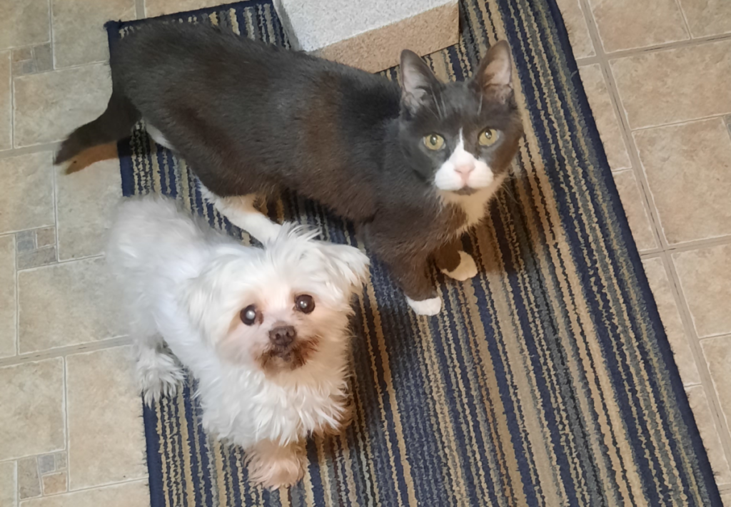 Belle and Sophie on the Floor