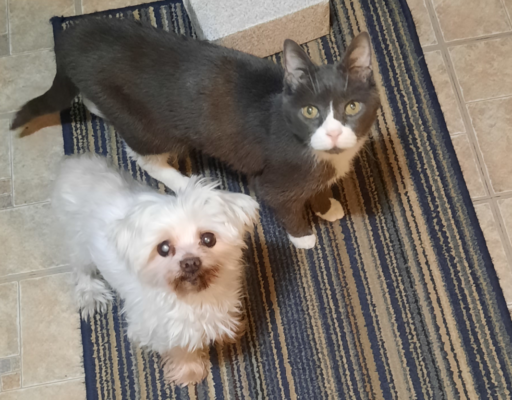 Belle and Sophie on the Floor