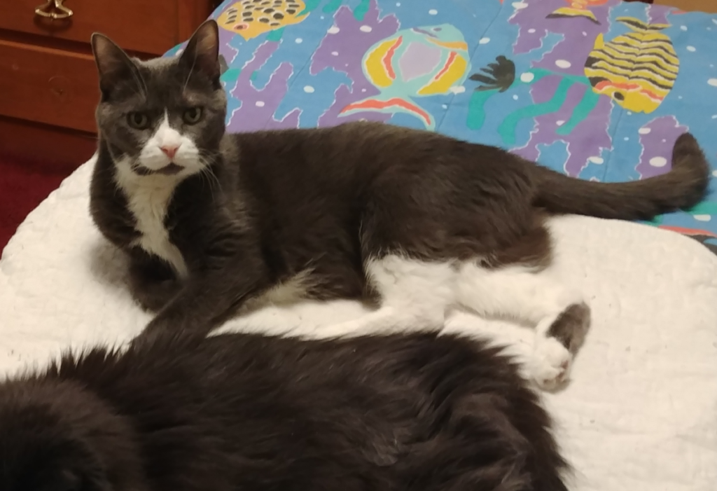 Belle with Blackie Off-Screen