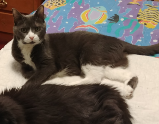 Belle with Blackie Off-Screen