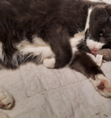 When Behavior Changes Feel Bigger Than They Look