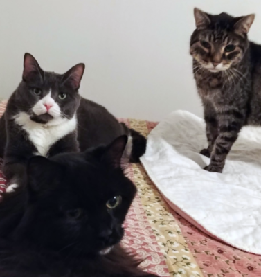 Turning Awareness Into Better Daily Care