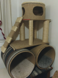 BellenPaws.com Tree