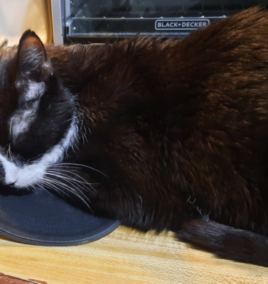 Understanding Blood Glucose Numbers Without the Medical Jargon