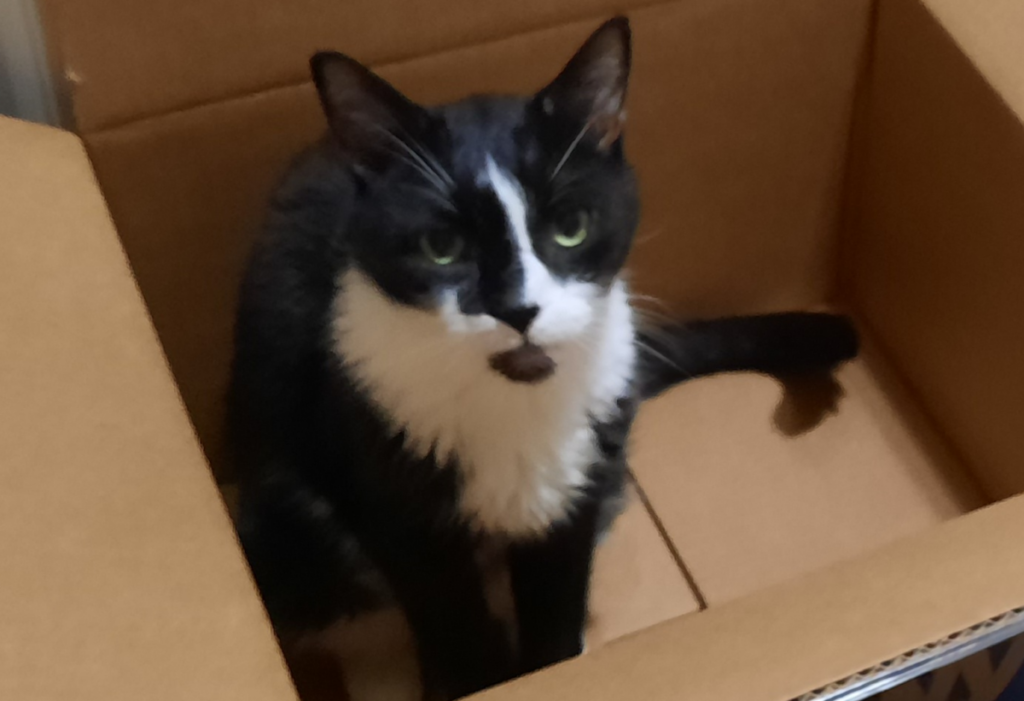 Bentley in Box2