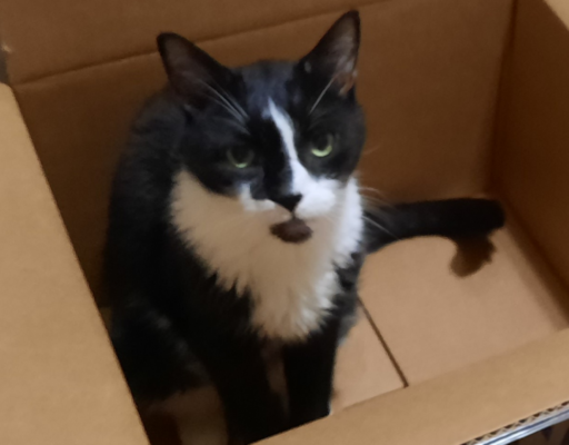 Bentley in Box2