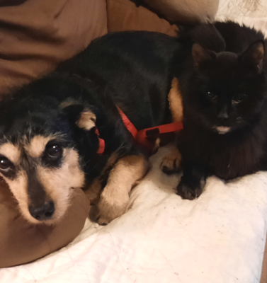 Senior-Proofing Your Home: Simple DIY Ways to Make Life Safer and Easier