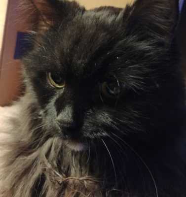 Understanding “When It’s Time” Without Losing Yourself in the Question