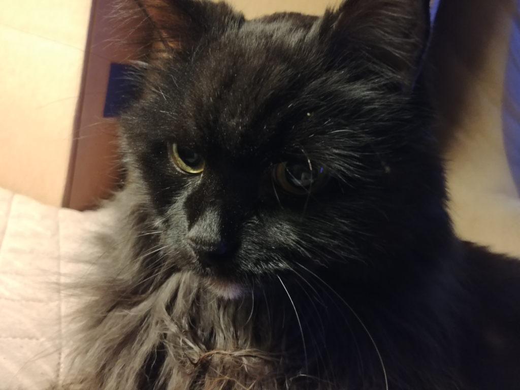 Blackie Poses for Pics