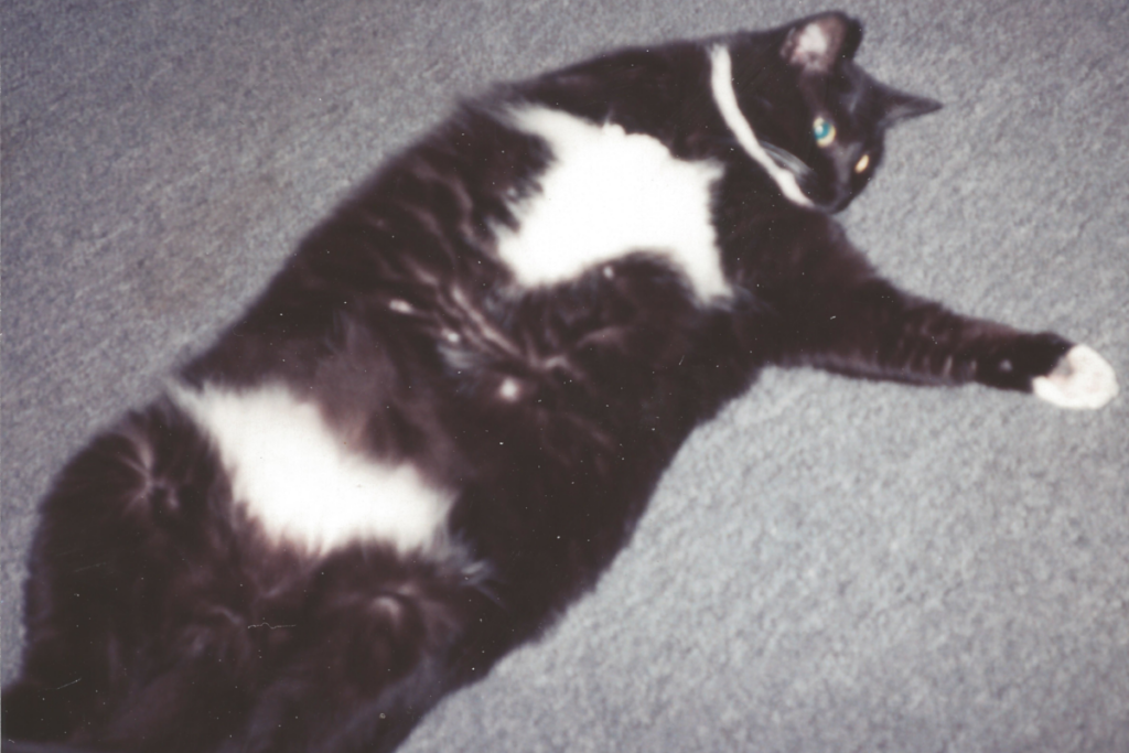 Bonnie Spread Out