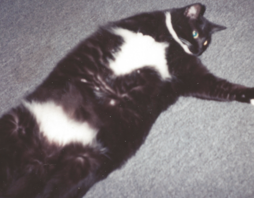 Bonnie Spread Out