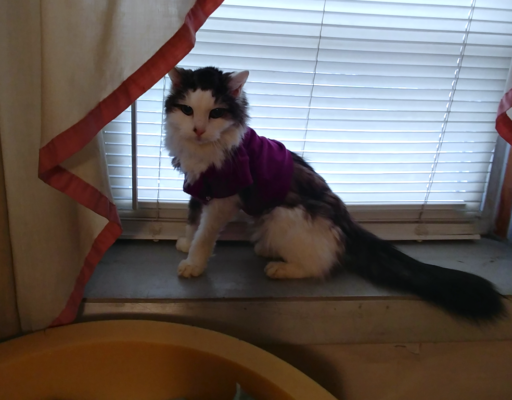 Bubbles in Her Shirt for Diapers