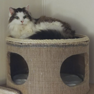 BellenPaws.com - Bubbles on her hut