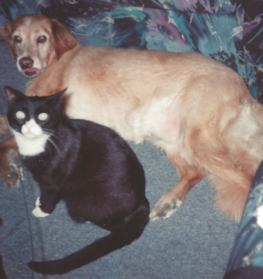 A Senior-Friendly Home Should be Small Changes Not an Overhall