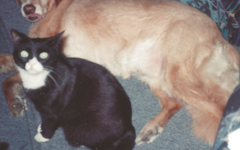 A Senior-Friendly Home Should be Small Changes Not an Overhall