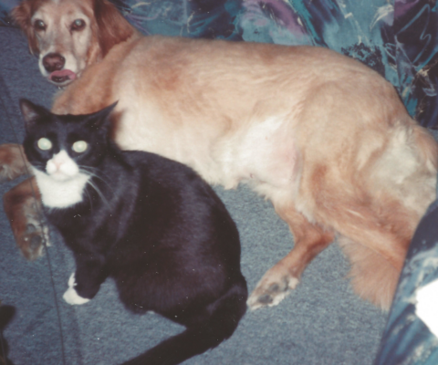 A Senior-Friendly Home Should be Small Changes Not an Overhall