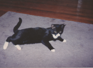 Clyde in the Living Room