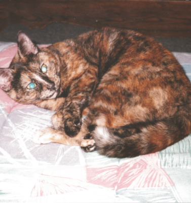 Lumps and Bumps: A Guide on When to Worry and When to Monitor