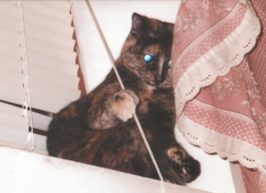 Cybil Playing with Blind
