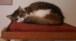 BellenPaws.com - Everly Keeping to herself