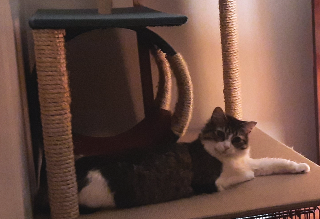 Everly at Home