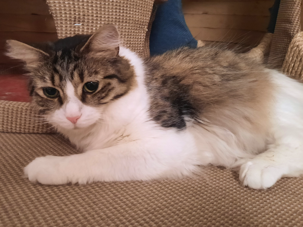 Everly in her Bed Area