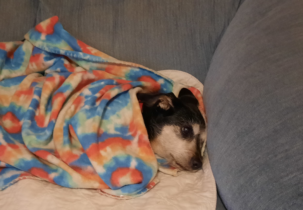 Jack Keeping Warm