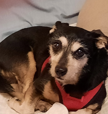 How Age Impacts Health Monitoring Needs