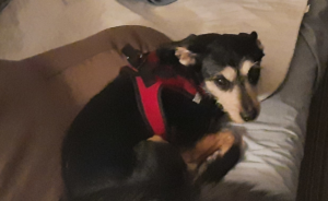 Jack Waking Up