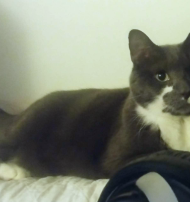 When Slowing Down Doesn’t Mean Giving Up