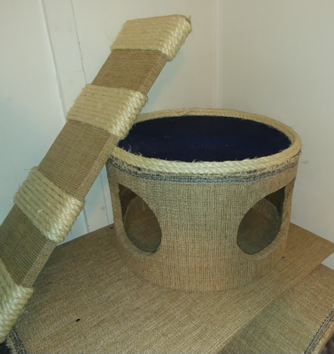 When Scratching Changes With Age