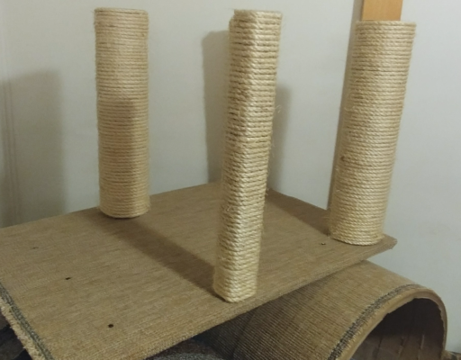 MyGWL.com - Scratching Posts