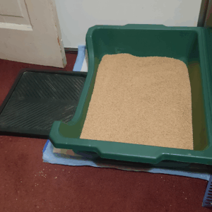 BellenPaws.com - Low Entry Box 2