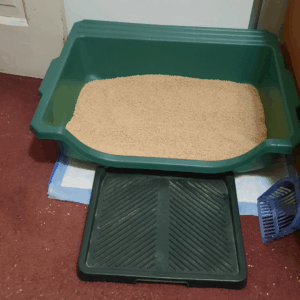 BellenPaws.com - Low Entry Box