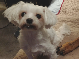 Sophie Posing