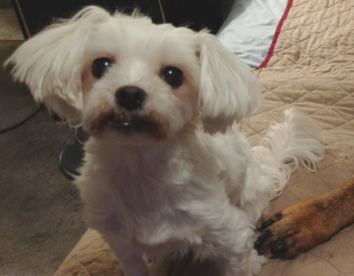 Sophie Posing