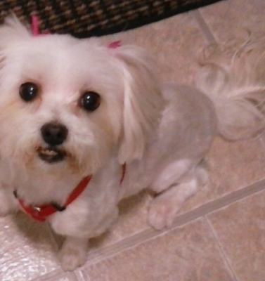 When “Slowing Down” Is Normal and When It’s Not