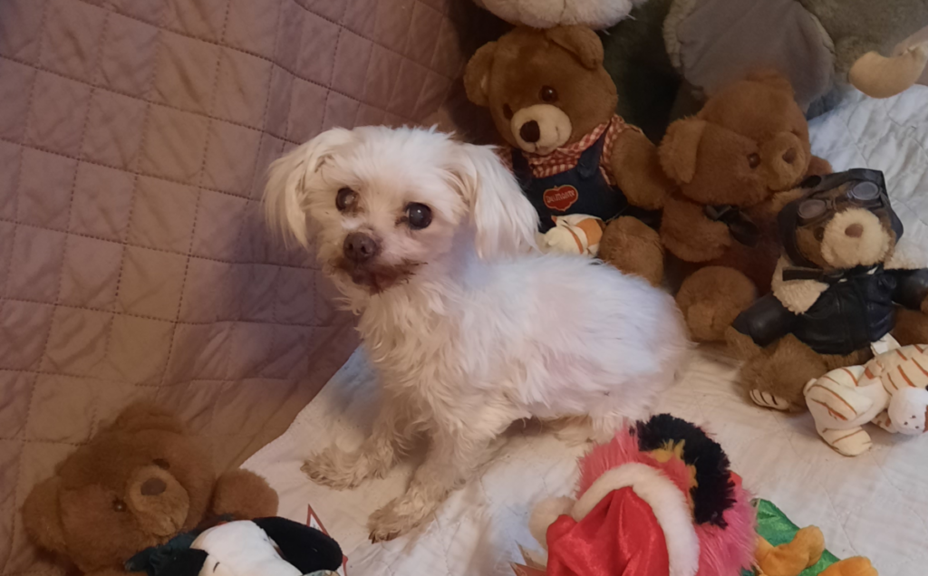 Sophie with Toys