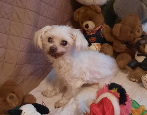 Sophie with Toys