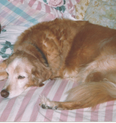 Grief Anticipation and Loving Fully Anyway