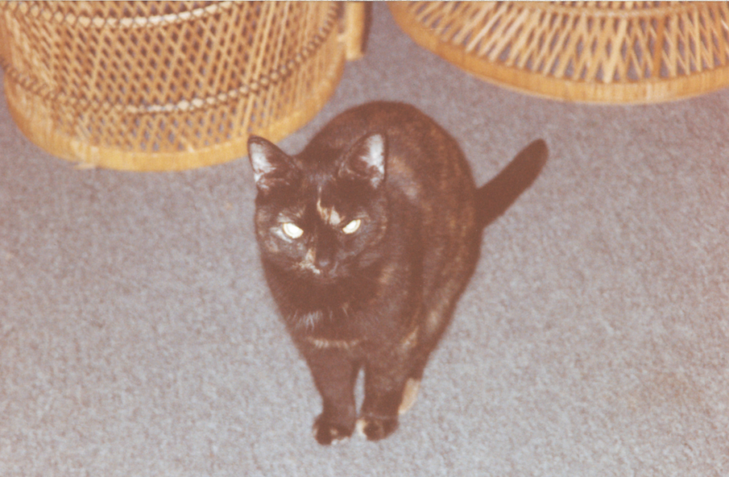 Tabitha in the Living Room